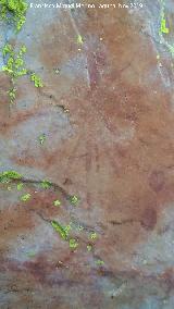 Pinturas rupestres del Prado del Azogue. Grupo V. Soliforme