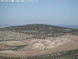 Atalaya de Mengbar. Desde la Torre de Mara Martn