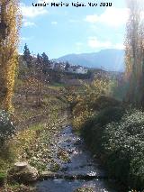 Ro Fro. Desde el Puente del Nogueral