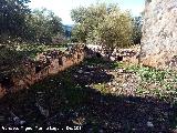 Gallinero del Cortijo de Julio. 