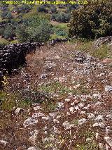 Camino de la Fuente del Pez. 