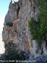 Cerro La Veleta. Primeros tajos