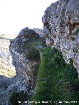 Camino de la Canalizacin. 