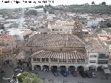 Iglesia de San Pedro Apstol. Desde el Castillo