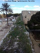 Castillo de Torredonjimeno. Murallas. Adarve