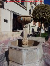 Fuente de la Plaza Victoria. 