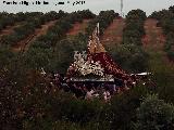 Romera de la Virgen de la Estrella. Por los campos