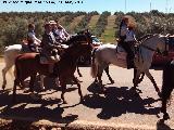 Romera de la Virgen de la Estrella. Caballos