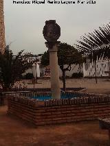Fuente del Castillo. 