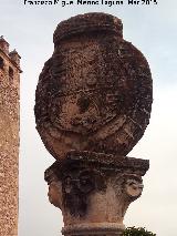 Fuente del Castillo. Escudo