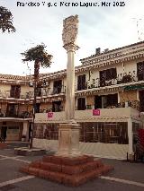Triunfo a la Inmaculada Concepcin. 