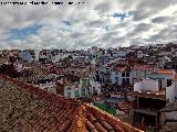 Iglesia de San Juan Bautista. Navas de San Juan desde su tejado