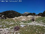 Era de El Castillejo. Restos del cortijo y corrales