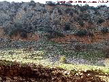 Barranco de El Toril. Gradas de El Toril en desde el abrigo