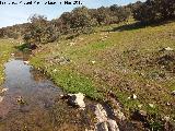 Arroyo del Vadillo. 