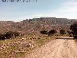 Cerro de las Yeseras. 