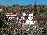 Cortijo de Manolico. 