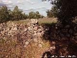 Cortijo del Mollejn Nuevo. Albarradas