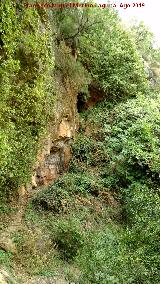 Cueva del Ro Caamares. 