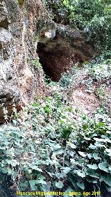 Cueva del Ro Caamares. 