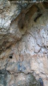 Cueva del Ro Caamares. 