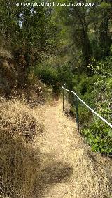 Sendero Ro Caamares. 