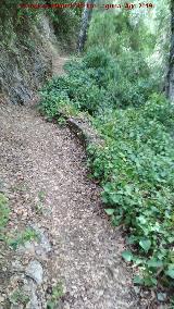 Sendero Ro Caamares. 