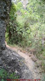 Sendero Ro Caamares. 