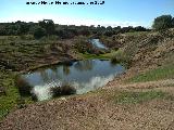 Laguna de Burguillos. 