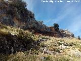 Pinturas rupestres de las Cuevas del Curro Abrigo I. Abrigo