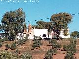 Cortijo del Ecijano. 