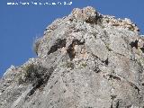 Castillo de Tscar. Restos de fortificacin sobre la Pea Negra