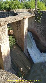 Presa de Casas Nuevas. Troncos atrancando un aliviadero