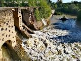 Presa de Casas Nuevas. 