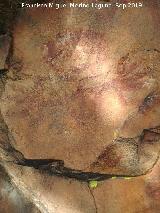 Pinturas rupestres de la Graja de Miranda I. Antropomorfo izquierdo