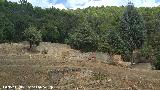Cortijo del Hornillo. Balsas del lndano