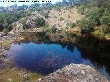 Pantanillo del Arroyo del Rey. 
