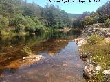 Pantanillo del Arroyo del Rey. 