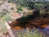 Pantanillo del Arroyo del Rey. Presa