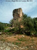 Castillo del Poyato. 