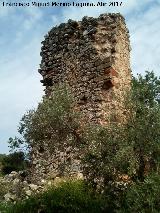 Castillo del Poyato. 