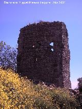 Castillo del Poyato. 