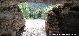 Casas Cueva del T�o Rat�n. 