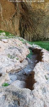 Cueva de las Grajas. Gours