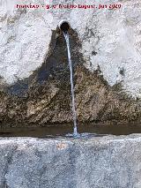 Fuente Bonales. Ca�o