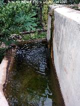 Fuente de Yenares. 