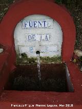 Fuente de la Paz. 