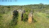 Dolmen de la Parada. 