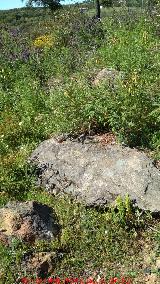 Dolmen de los Gabrieles VI. Ortostato