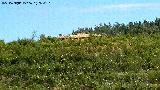 Dolmen del Pozuelo II. 